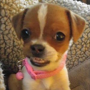 Meet your Posher, Patricia c